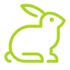 icons8 rabbit 100 (1)